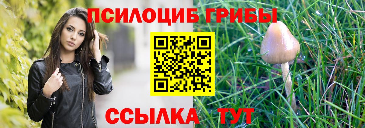 Галлюциногенные грибы мицелий Азов